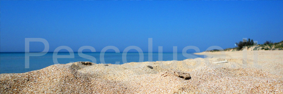 spiaggia Pescoluse